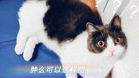 娛樂圈吃瓜磕cp,CP甜蜜互動大盤點