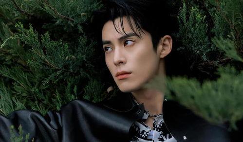 娛樂吃瓜爆料王鶴棣,娛樂圈新晉“吃瓜王”，揭秘明星幕后故事