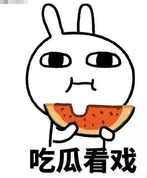 娛樂(lè)吃瓜君綿羊,揭秘娛樂(lè)圈幕后故事