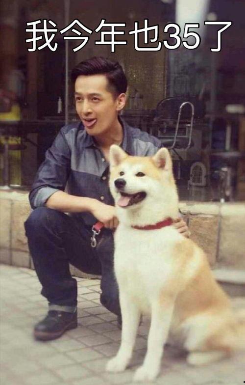 娛樂吃瓜君胡歌,娛樂圈的吃瓜傳奇，揭秘明星背后的故事