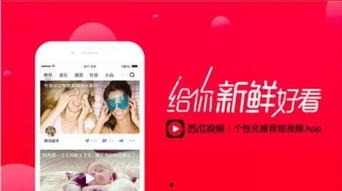 娛樂吃瓜視頻剪映素材,娛樂吃瓜視頻背后的精彩瞬間