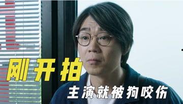 娛樂(lè)吃瓜君121期,揭秘娛樂(lè)圈最新熱點(diǎn)，帶你領(lǐng)略明星幕后故事