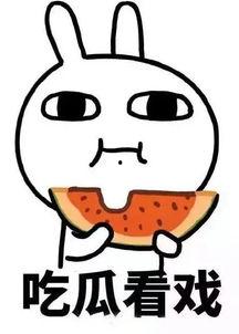 娛樂吃瓜群眾2,揭秘娛樂圈背后的秘密與八卦