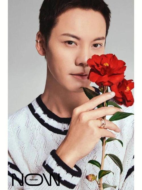 娛樂吃瓜君 景甜,娛樂圈的甜蜜瓜果，揭秘她的星途歷程