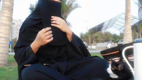 娛樂吃瓜君說的都是誰(shuí),揭秘娛樂圈幕后真相